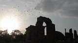 1_Delhi_1180_Qutub_Minar_ruines_avondlicht_1067