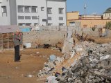 Vogels kijken in Nouakchott