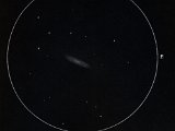 NGC 2613 (Pyx) 14" - 100x