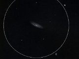 NGC 2784 (Hya) 14" - 200x