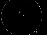 NGC 2841 (UMa) 6" - 90x