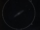 NGC 3953 (UMa) 14" - 100x